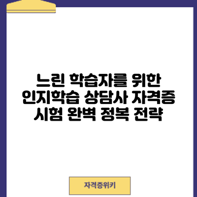 느린 학습자를 위한 인지학습 상담사 자격증 시험 완벽 정복 전략
