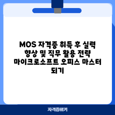 MOS 자격증 취득 후 실력 향상 및 직무 활용 전략: 마이크로소프트 오피스 마스터 되기