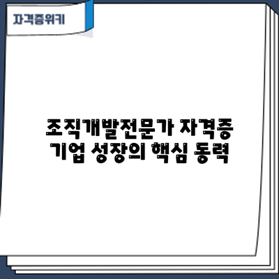 조직개발전문가 자격증: 기업 성장의 핵심 동력