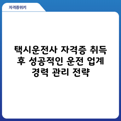 택시운전사 자격증 취득 후 성공적인 운전 업계 경력 관리 전략