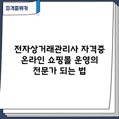 전자상거래관리사 자격증: 온라인 쇼핑몰 운영의 전문가 되는 법