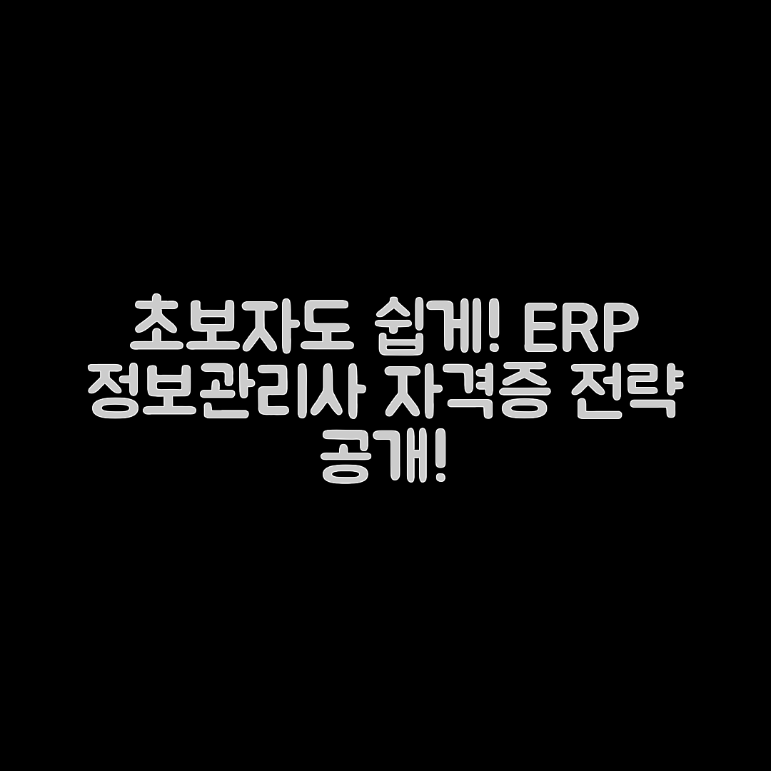 초보자도 쉽게 배운 ERP정보관리사 자격증 전략