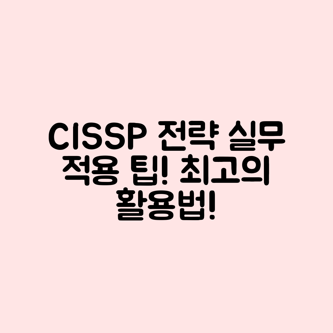 CISSP 자격증 실무 적용 전략, 어떻게 활용할까요?