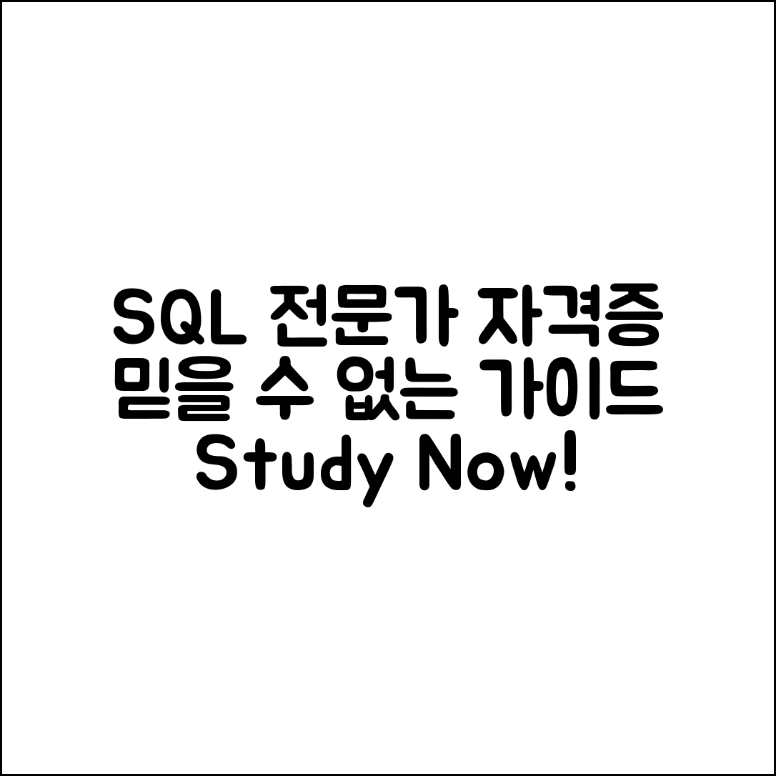 믿을 수 없는 SQL 전문가 자격증 공부 가이드