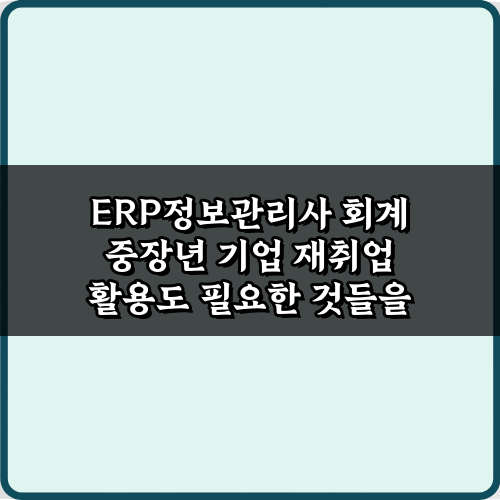 ERP정보관리사 회계 중장년 기업 재취업 활용도 5대 비법